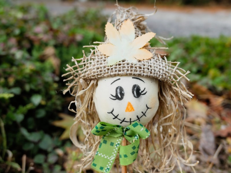 Photo of a scarecrow with a hat and green scarf