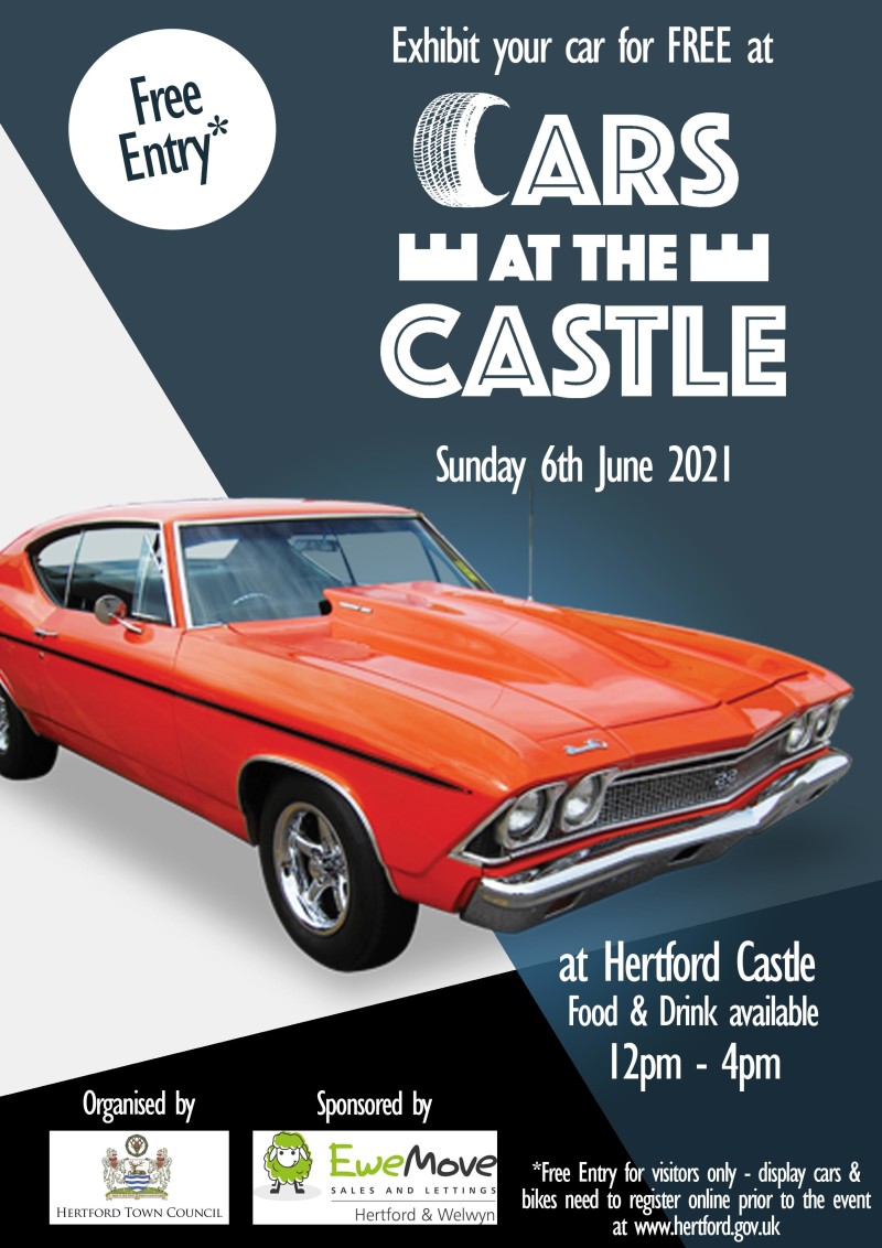 Cars at the Castle Poster