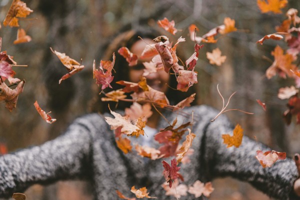 Hertford Castle Autumn Trail 