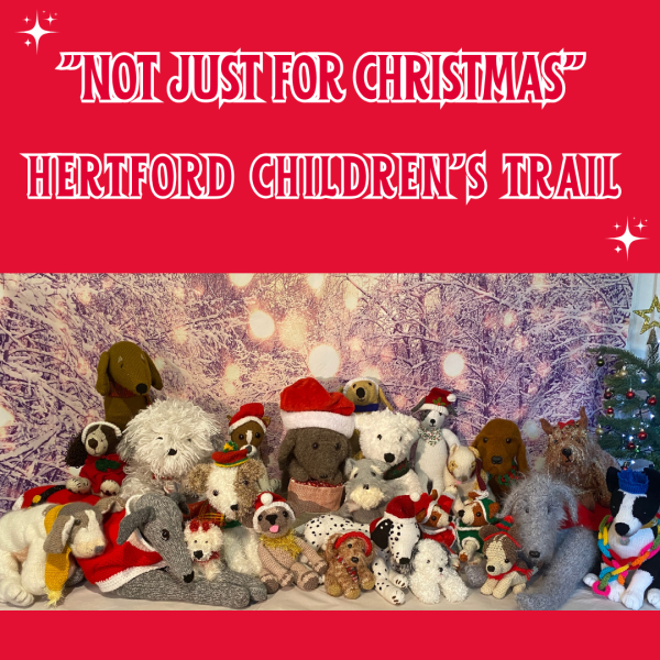 Children's Christmas Trail