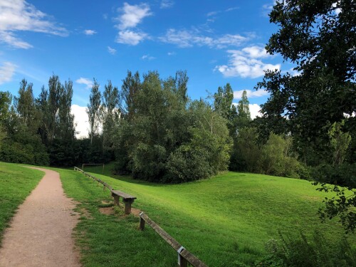 Foxholes Woodland