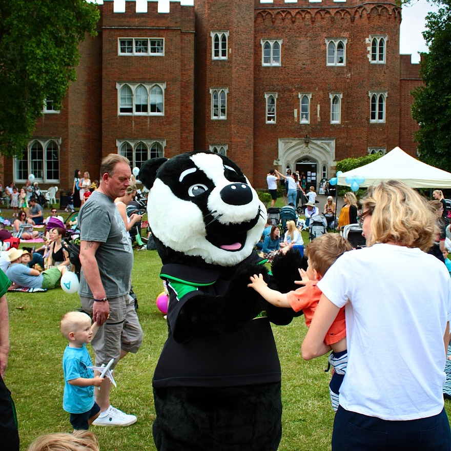 Giant badger in castle grounds