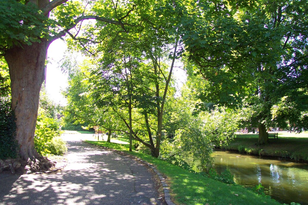 Pathway through nature in Hertford