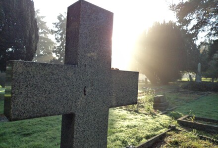 Untitled image