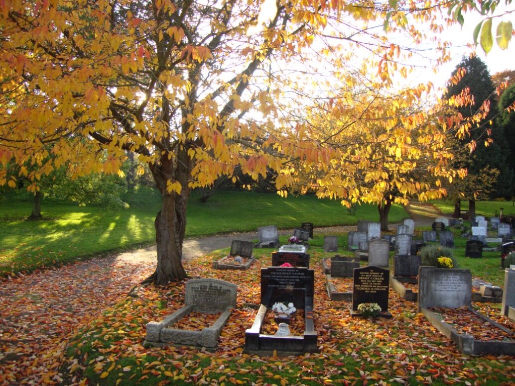 Gravestones in cemetery